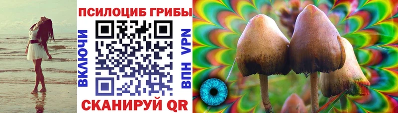 Галлюциногенные грибы Magic Shrooms  закладка  Будённовск 